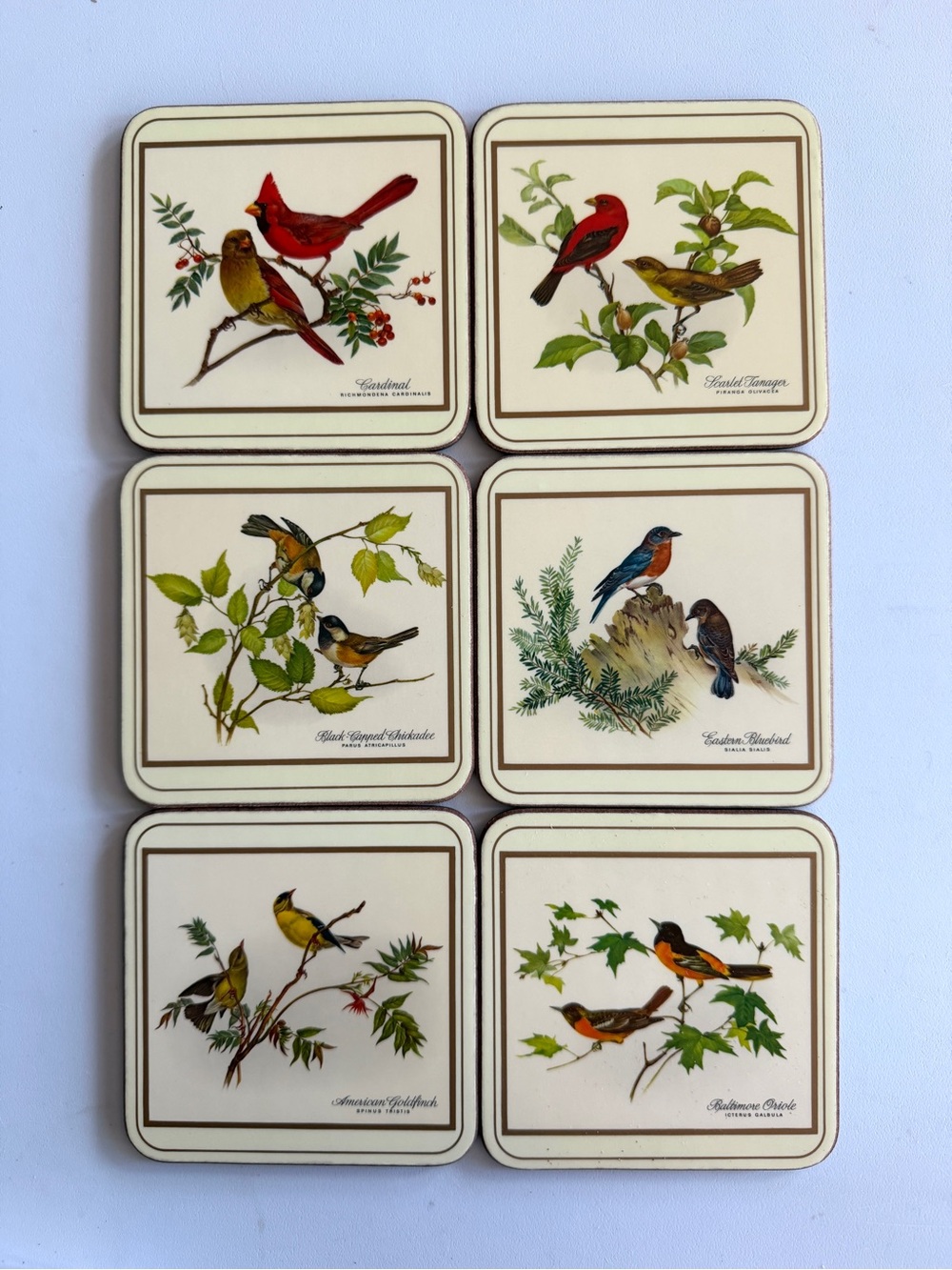 Vintage Pimpernel Coaster Set - North American Songbirds - Set of 6